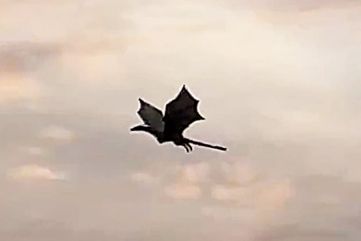 আকাশে উড়ন্ত ‘ড্রাগন’