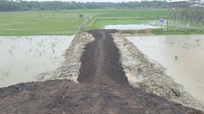 বিদ্যালয়ের জমি দখল করে এনসিপি নেতার সড়ক নির্মাণ