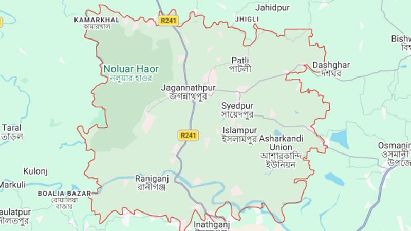 বন কর্মকর্তার সামনেই মেছোবাঘ পিটিয়ে হত্যা