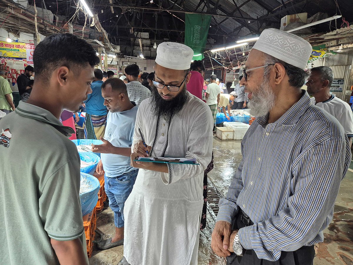 চাঁদপুরে ভরা মৌসুমেও কেন ইলিশ কম, অনুসন্ধানে বিশেষজ্ঞ দল