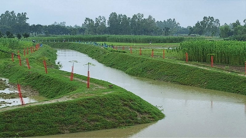 খননে নবজন্ম দুই খালের