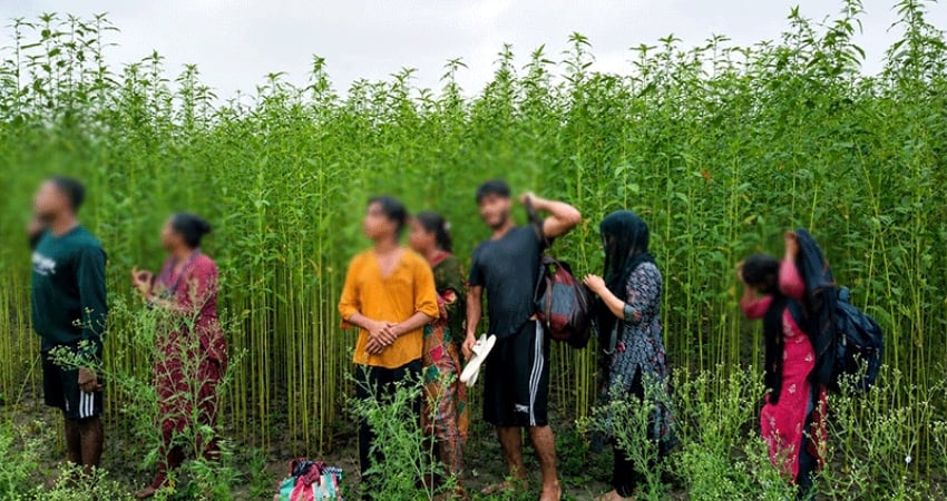 কুষ্টিয়া সীমান্তে ৮ জনকে পুশইনের চেষ্টা প্রতিহত করল বিজিবি