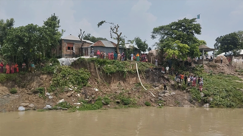 কুষ্টিয়ায় পদ্মার ভাঙনে হুমকিতে নদী রক্ষা বাঁধ ও বসতভিটা