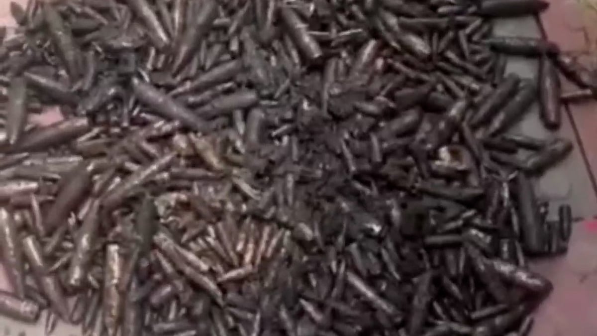 নালা থেকে উদ্ধার ১ হাজার ৩২০টি গুলি