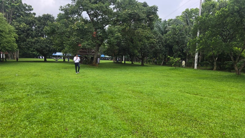 প্রকৃতির নীরবতায় যেন আজও হেঁটে বেড়ান হুমায়ূন আহমেদ