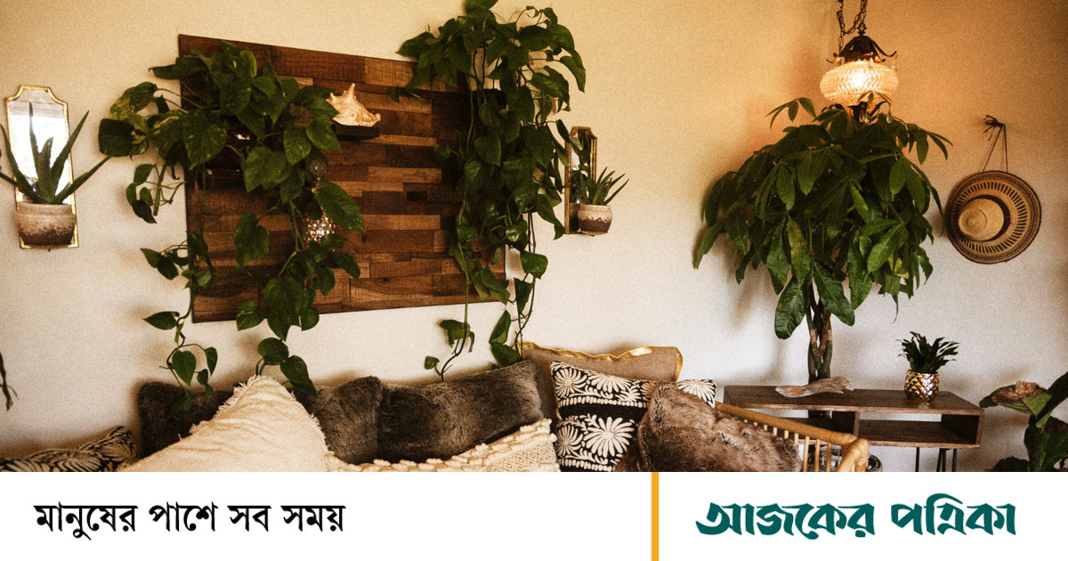 সারা দিন একনাগাড়ে বৃষ্টিতে ঘর সতেজ রাখবেন যেভাবে