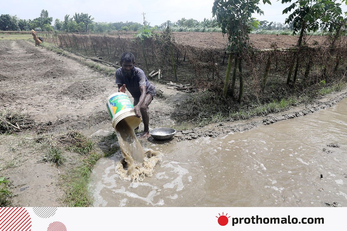 সবজিচাষিদের নতুন লড়াই